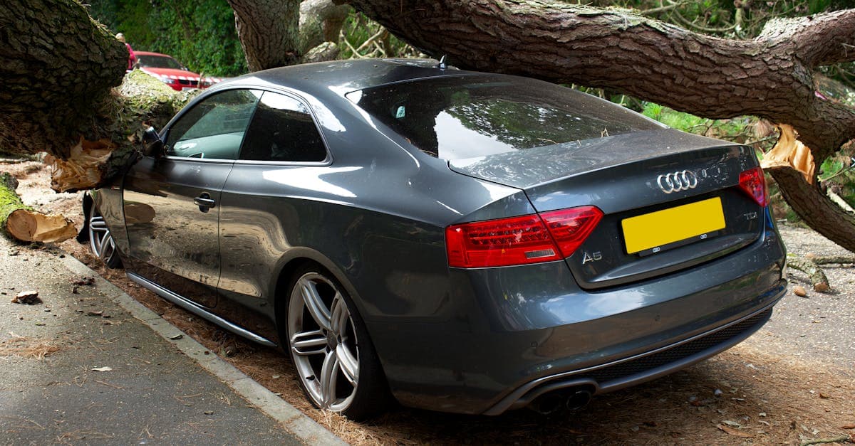 Cover Image for How Much Does Comprehensive Insurance Cost? Factors That Set Your Rate