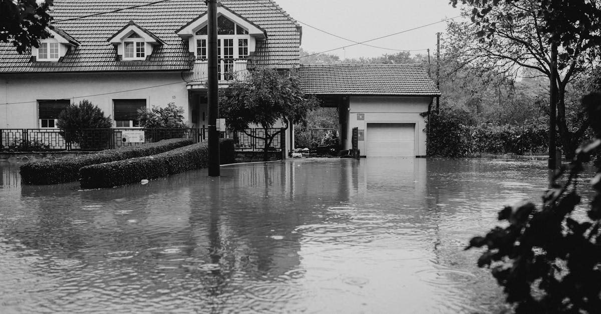 Cover Image for Ice Dam Water Damage: What Your Homeowners Policy Covers