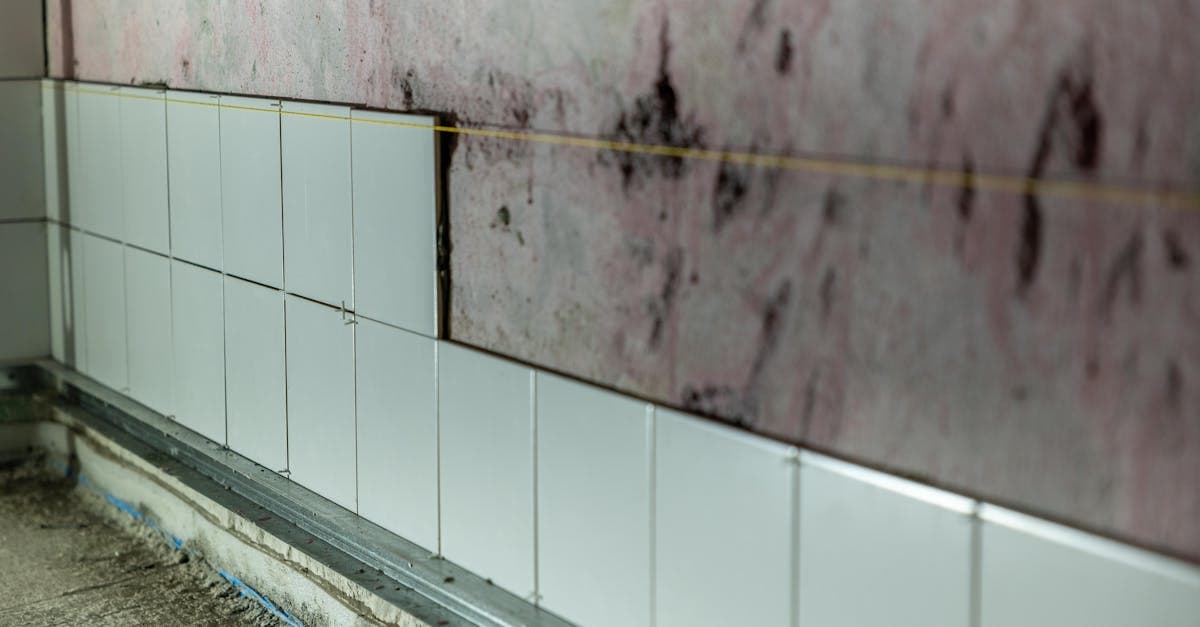 Cover Image for Mold From a Burst Pipe: How Homeowners Insurance Responds