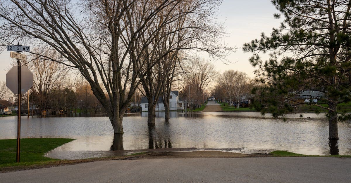 Cover Image for NFIP vs Private Flood Insurance: Comparing Your Options