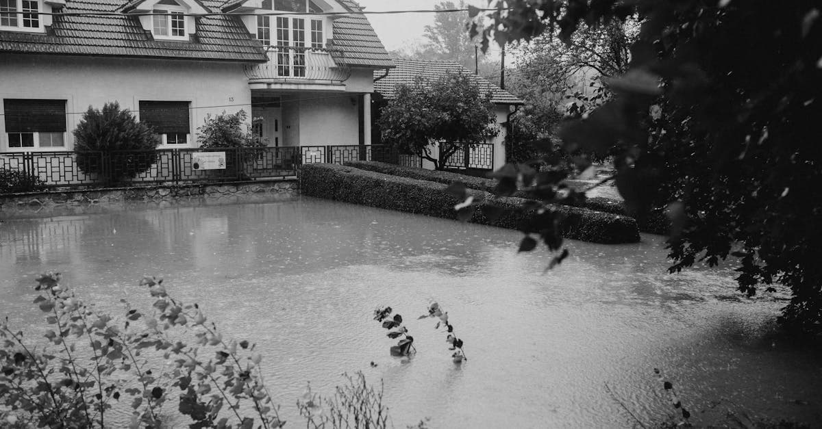 Cover Image for Storm Damage: How Flood and Homeowners Insurance Split the Claim
