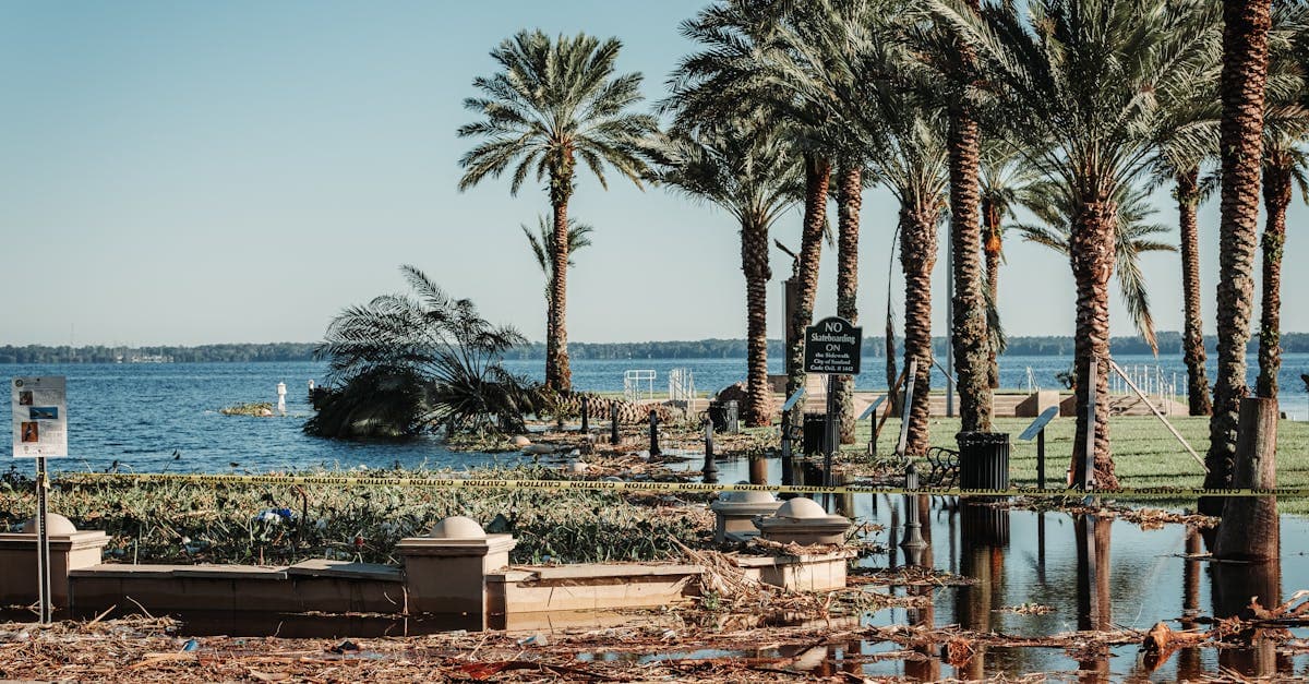 Cover Image for 2 Percent vs 5 Percent vs 10 Percent Hurricane Deductibles in Florida