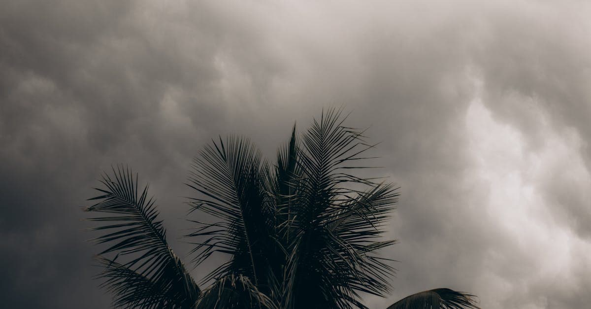 Cover Image for Understanding When Your Hurricane Deductible Resets Each Year