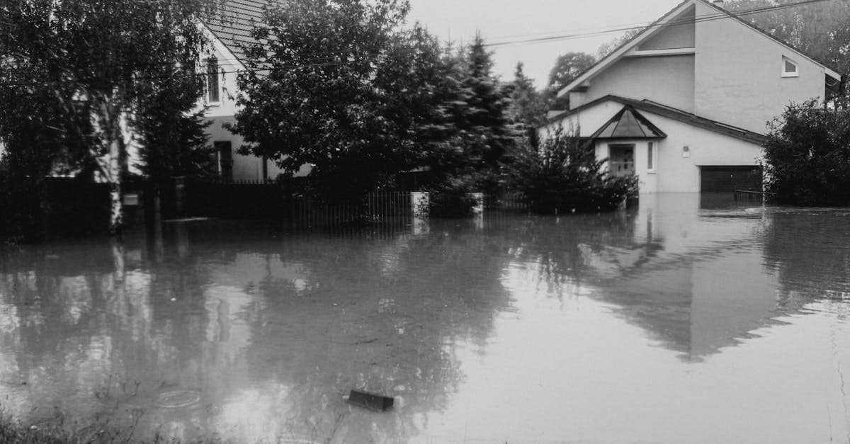 Cover Image for Flash Floods Do Not Follow FEMA Maps: Why Location Does Not Equal Safety