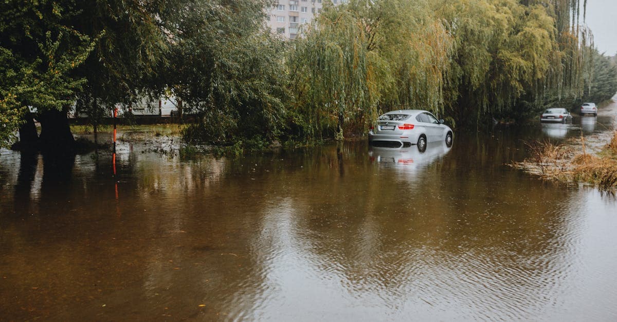Cover Image for Ground Floor Condo Flood Risk: Why First-Floor Units Need Extra Protection