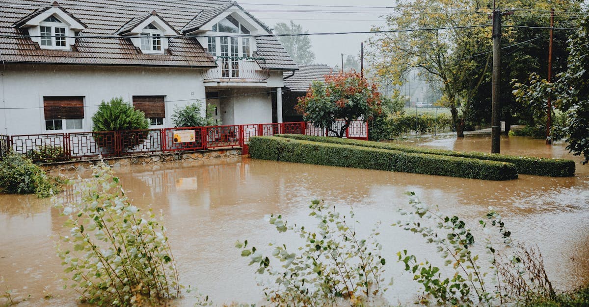 Burst Pipe vs Flood: Which Water Damage Does Your Homeowners Policy Cover?